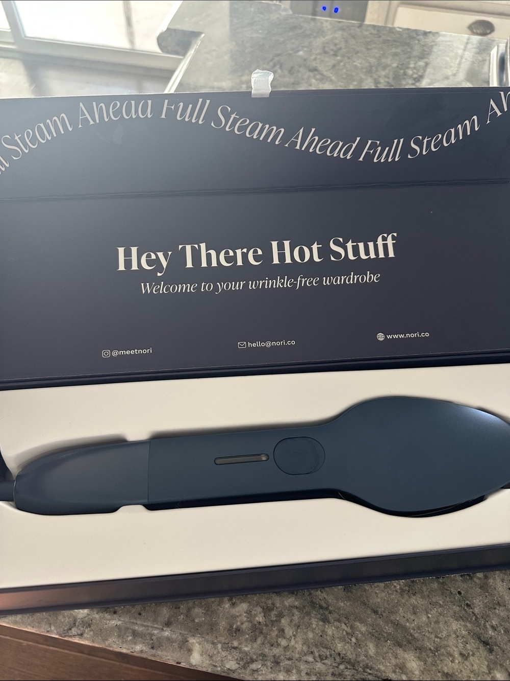 NORI Handheld Fabric Steam Iron
